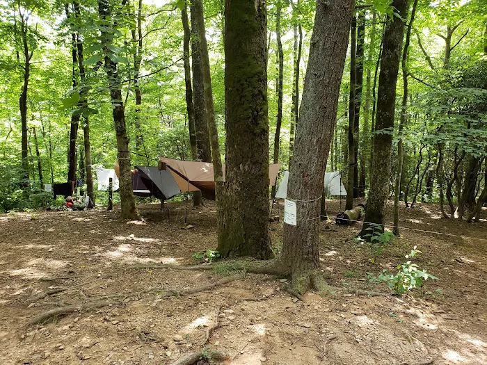 Gooch Mountain Shelter Picture 4