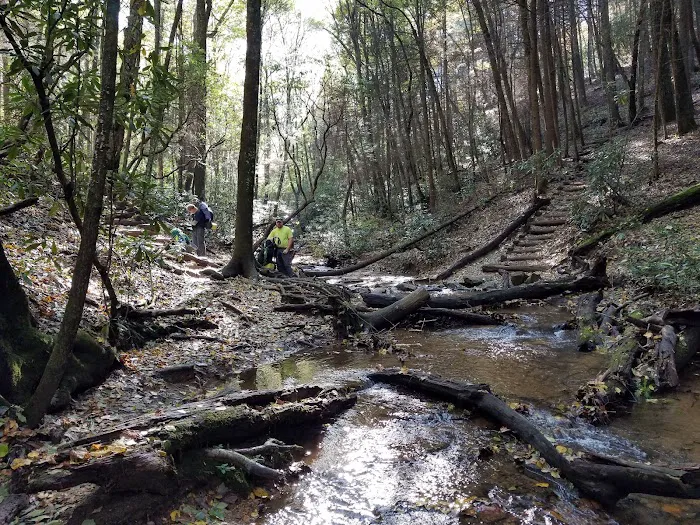 Gooch Mountain Shelter Picture 8