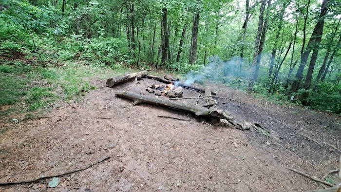 Gooch Mountain Shelter Picture 9