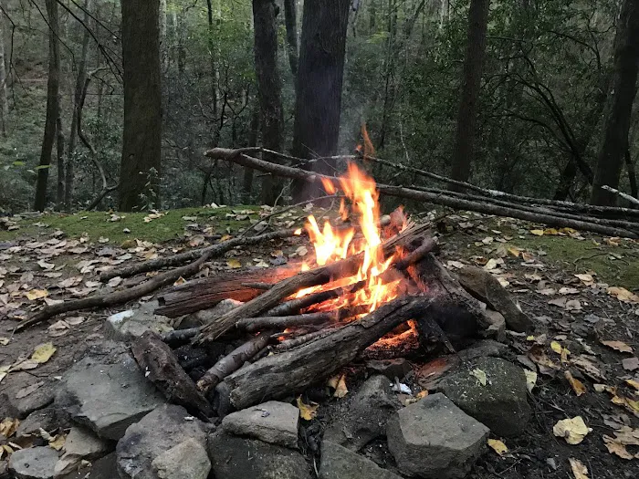 Justus Creek Campsites Picture 4