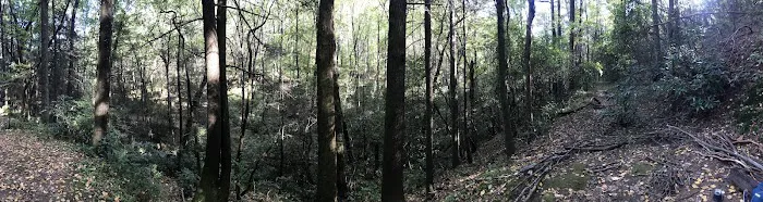 Justus Creek Campsites Picture 3