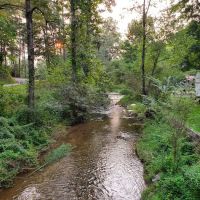 Camp Snoddy ico