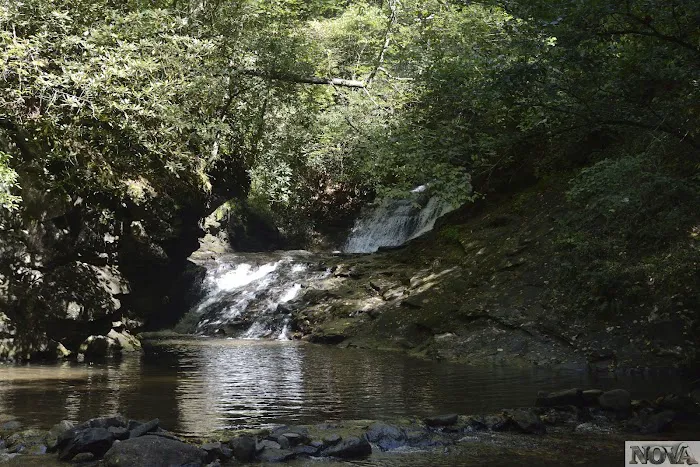 Cooper Creek USFS Campground & Recreation Area Picture 3