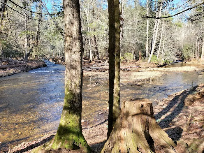 Cooper Creek USFS Campground & Recreation Area Picture 2