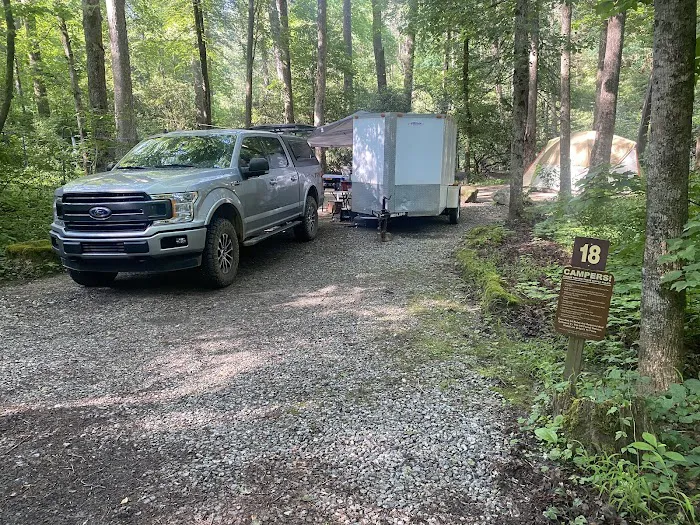 Cooper Creek USFS Campground & Recreation Area Picture 5