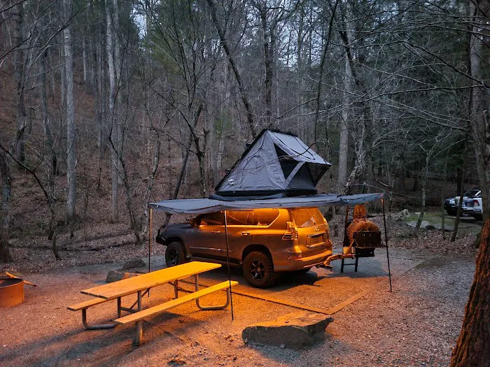 Cooper Creek USFS Campground & Recreation Area Picture 8