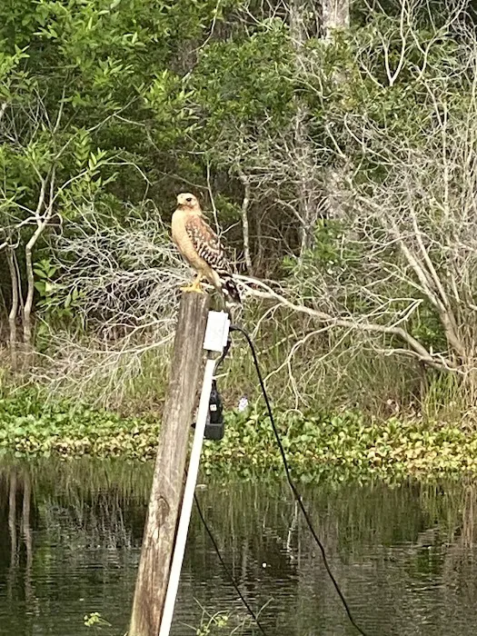 Clam Haven Rv Park Picture 4