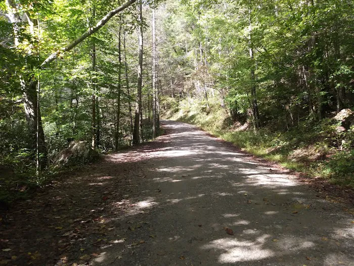 Mulky Campground Picture 4