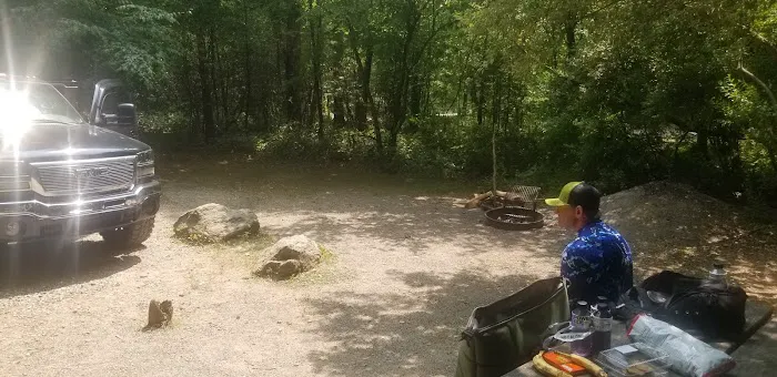 Mulky Campground Picture 3