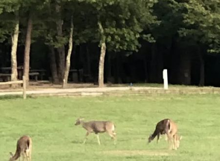 Cane Creek Camp