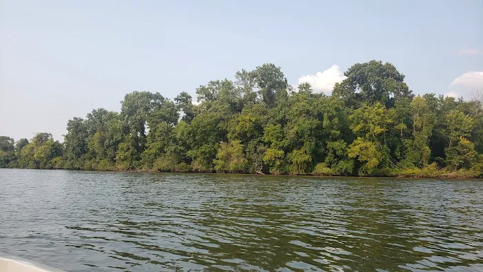 Armstrong Ferry Campground Picture 4