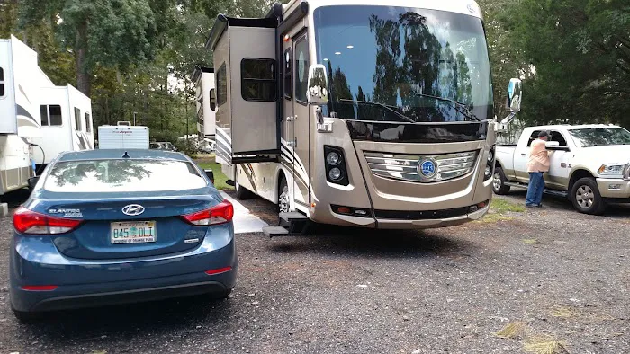 Big Tree RV Park Picture 2