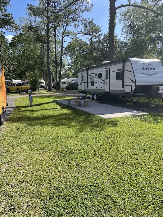 Big Tree RV Park Picture 5