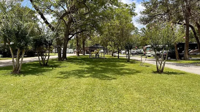 Big Tree RV Park Picture 1