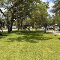 Big Tree RV Park ico
