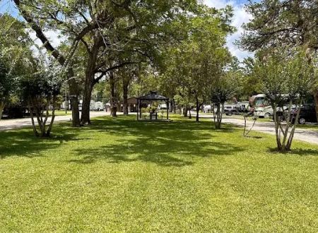 Big Tree RV Park