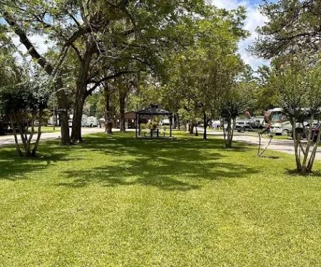 Big Tree RV Park