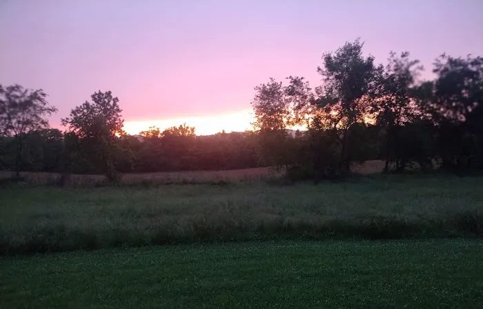 Cottonport Landing Picture 7
