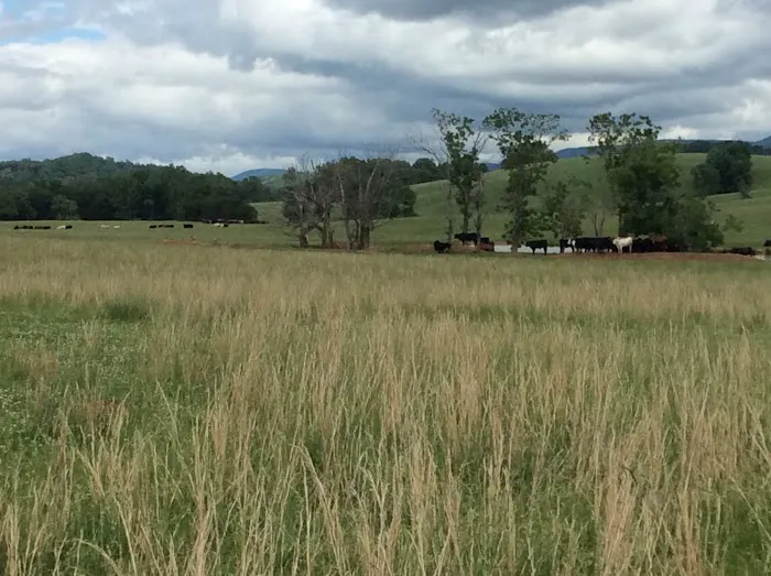 R and R RV Campground Picture 8