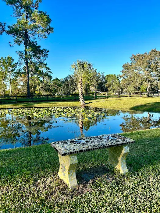 Whispering Pines RV Park Picture 9
