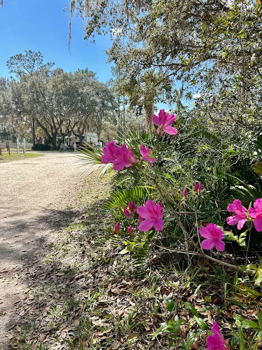 Whispering Pines RV Park Picture 4