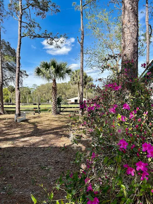 Whispering Pines RV Park Picture 5
