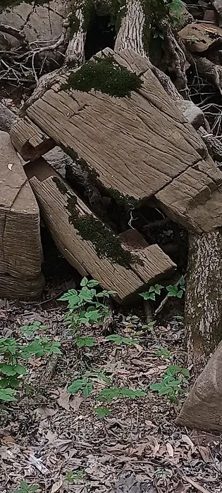 Sam Parr State Park Campground Picture 1