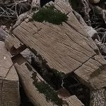 Sam Parr State Park Campground