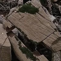 Sam Parr State Park Campground ico