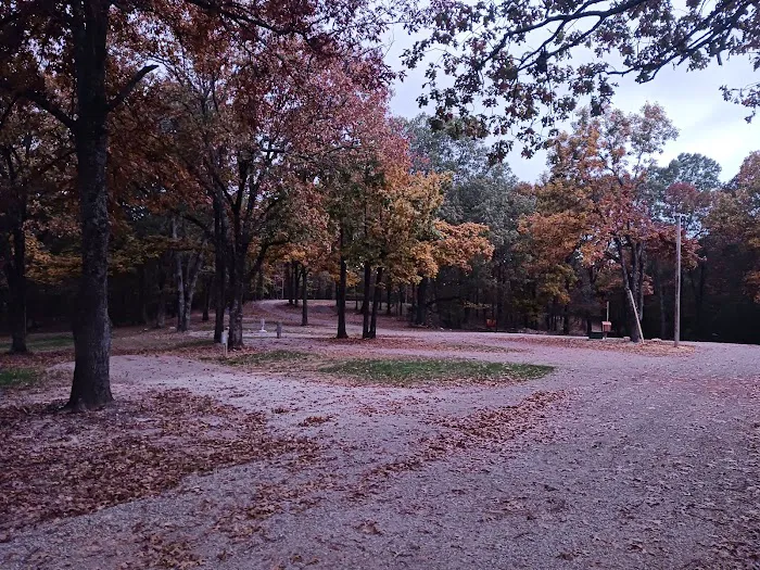Goldies RV Park Picture 4