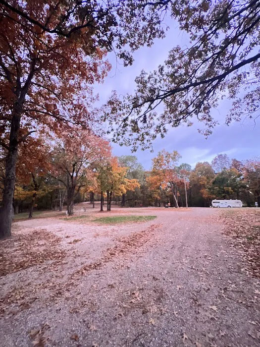 Goldies RV Park Picture 3