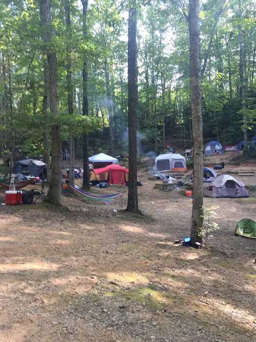 Ocoee Hillside Campground Picture 5