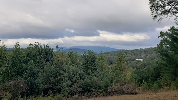 Ocoee Hillside Campground Picture 9