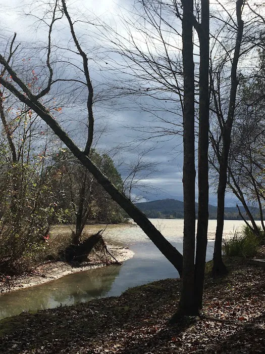 Rogers Creek RV Park Picture 1