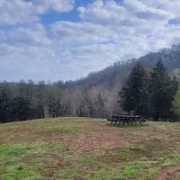 The Meadow @ Burnsy Acres ico