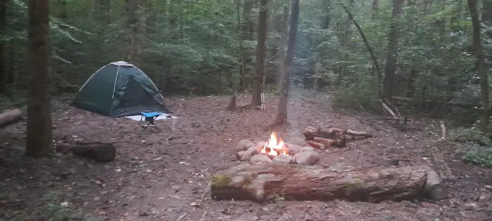 Sawmill Campsite Picture 2