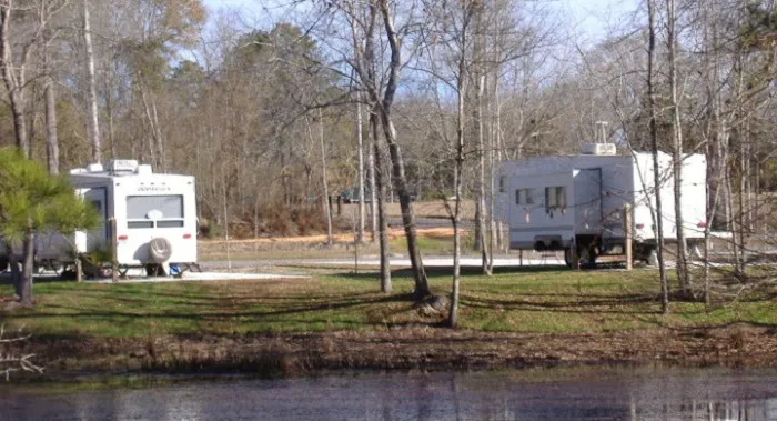 Spring Creek Campsite 3 Picture 2