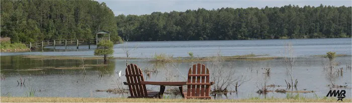 Piney Woods Campground Picture 1