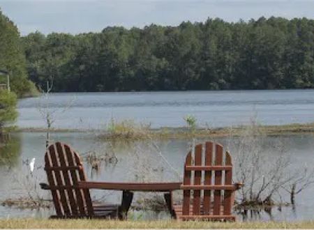 Piney Woods Campground