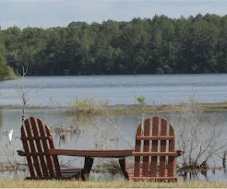 Piney Woods Campground