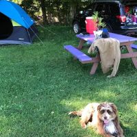 Llovely Meadows Campgrounds ico