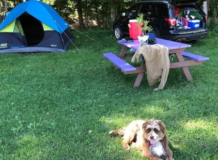 Llovely Meadows Campgrounds
