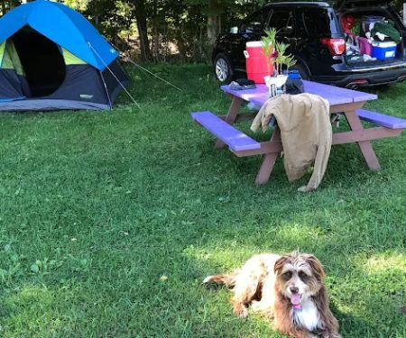Llovely Meadows Campgrounds