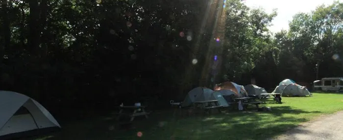 Betsie River Campsite Picture 3