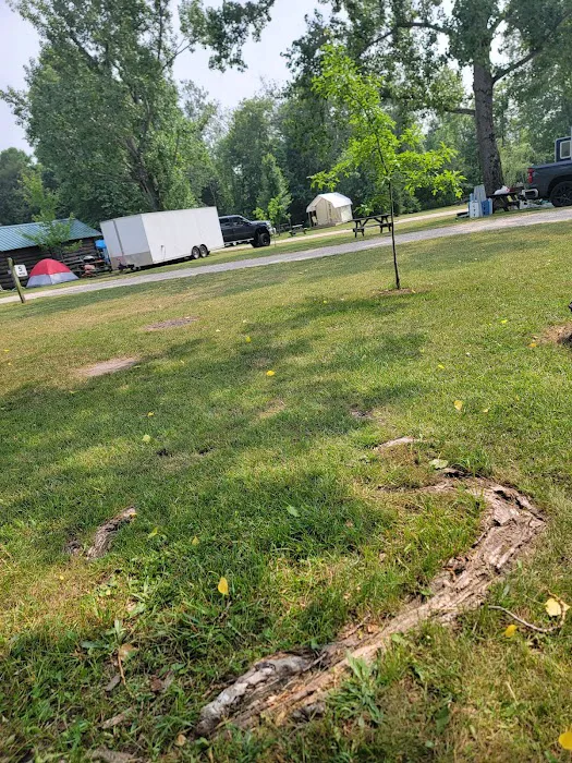 Betsie River Campsite Picture 6