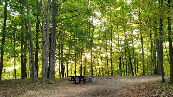 Lake Ann State Forest Campground Picture 7