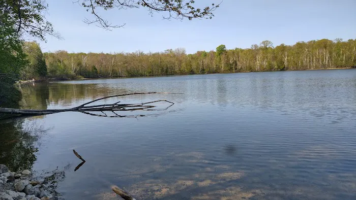 Lake Ann State Forest Campground Picture 6