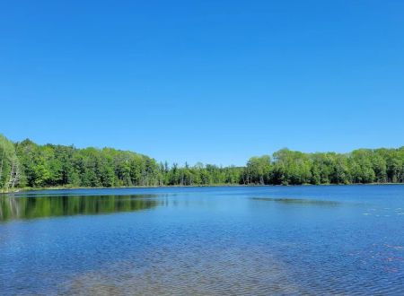 Garey Lake State Forest Campground