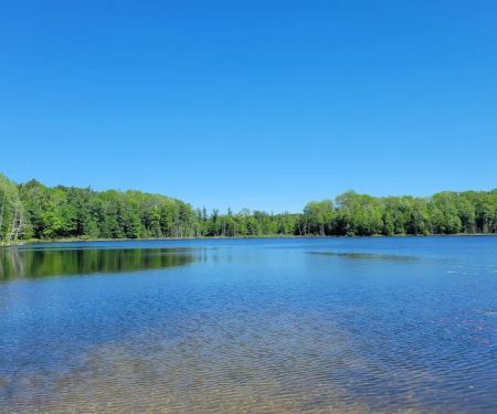 Garey Lake State Forest Campground