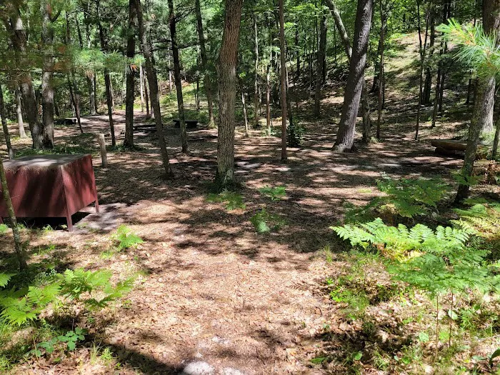 White Pines Backcountry Campground Picture 5